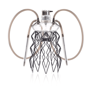 meduse